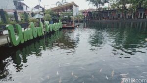 10 Kolam Air Pegunungan Terindah: Surga Sejuk nan Menyegarkan