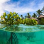 6 Resort Raja Ampat Mewah: Tarif Puluhan Juta, Layak Dikunjungi?