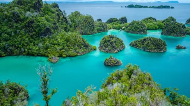 Eksplorasi Raja Ampat: Surga Terakhir Sebelum Tambang, Biaya & Tips!