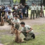 Funtasy Safari Solo: Tiket Anak Gratis, Petualangan Seru Menanti!