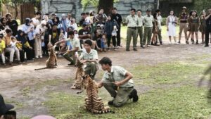 Funtasy Safari Solo: Tiket Anak Gratis, Petualangan Seru Menanti!