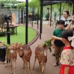 Habitat Park SCBD: Oasis Hijau di Tengah Jakarta yang Ramai