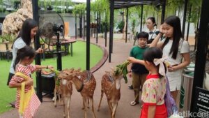 Habitat Park SCBD: Oasis Hijau di Tengah Jakarta yang Ramai