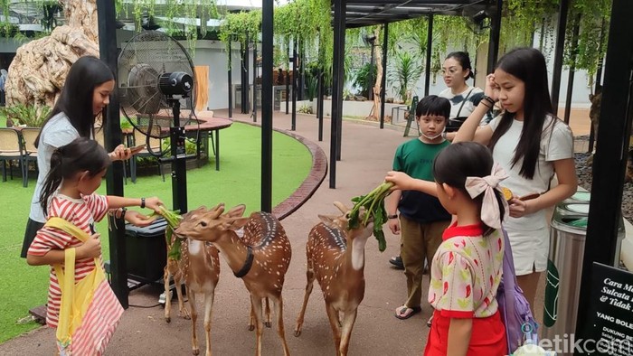 Habitat Park SCBD: Oasis Hijau di Tengah Jakarta yang Ramai