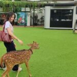 Habitat Park SCBD: Rahasia Unik Hewan Liar Terungkap!