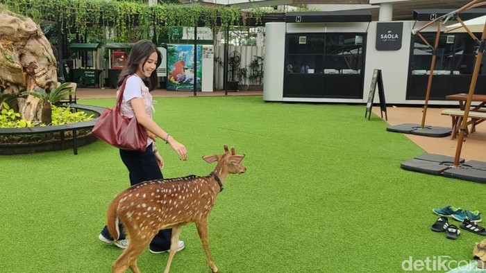 Habitat Park SCBD: Rahasia Unik Hewan Liar Terungkap!