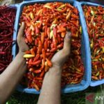Harga Bawang Merah & Cabai Rawit Melonjak Tajam: Bapanas Rilis Data Terbaru