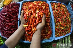 Harga Bawang Merah & Cabai Rawit Melonjak Tajam: Bapanas Rilis Data Terbaru