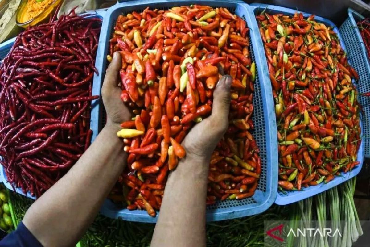 Harga Bawang Merah & Cabai Rawit Melonjak Tajam: Bapanas Rilis Data Terbaru
