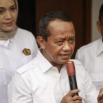 Indonesia Bangun PLNG Raksasa: Energi Masa Depan Papua