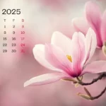 Libur Panjang Mei 2025: 4 Hari Piknik, Rencanakan Sekarang!