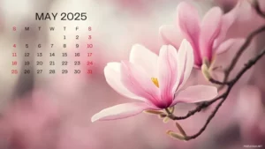 Libur Panjang Mei 2025: 4 Hari Piknik, Rencanakan Sekarang!
