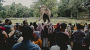 Liburan Ramai? Tips Cerdas Mengatasi Tempat Wisata Padat