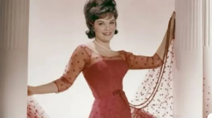 Lirik Lagu Pretty Little Baby Connie Francis: Makna & Terjemahannya