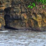 Misteri Gua Rahasia: Persembunyian Legendaris Ratu Laut Selatan