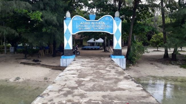 PSI Bongkar AIB AMDAL Pulau Kucing: Tolakan Tegas, Ada Apa?