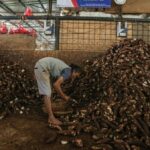 Rahasia Juragan Singkong: Omzet Miliaran dari Usaha Rintisan