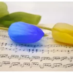 Rahasia Kolaborasi Musik AI: Ciptakan Lagu Epik Bersamaku