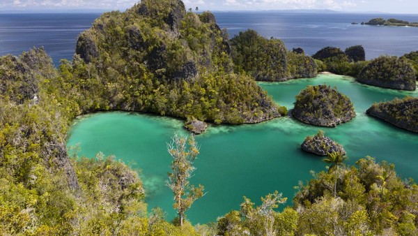 Raja Ampat: 7 Surga Tersembunyi Wajib Dikunjungi Sekarang
