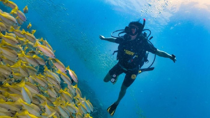 Raja Ampat Terancam? Eksplorasi Surga Diving Alternatif Ini!