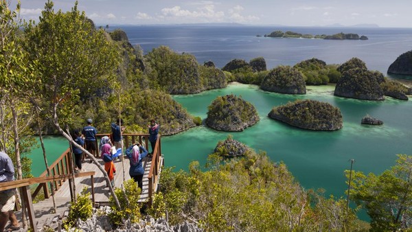 Raja Ampat Terancam: Menteri Ungkap Kerusakan Tambang Nikel