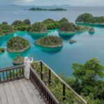 Raja Ampat Terancam: Tambang Nikel Ancam Surga Indonesia