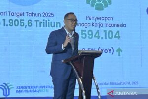 Satgas Investasi Hampir Rampung: Kabar Baik dari Wamen Todotua