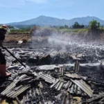Tragedi Kebakaran Kalibeber: 9 Kambing Tewas Terpanggang