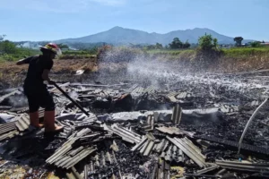 Tragedi Kebakaran Kalibeber: 9 Kambing Tewas Terpanggang