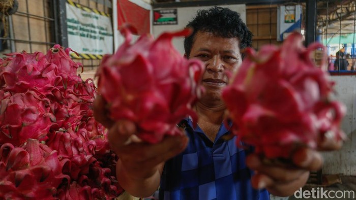 Tukang Kebun Sukses Bisnis Buah, Omzet Puluhan Juta!