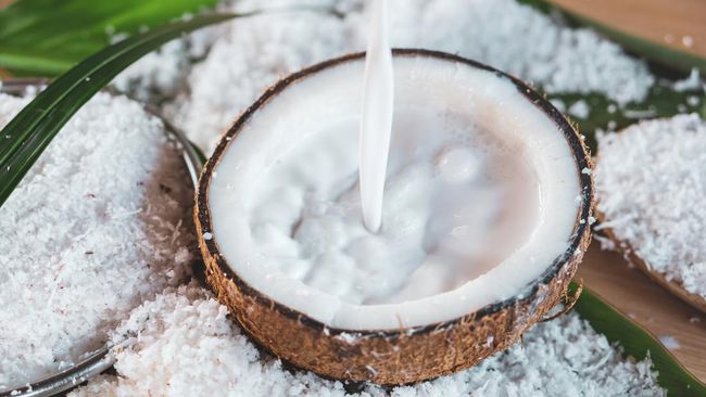 Ini Batas Aman Konsumsi Santan Agar Tetap Sehat