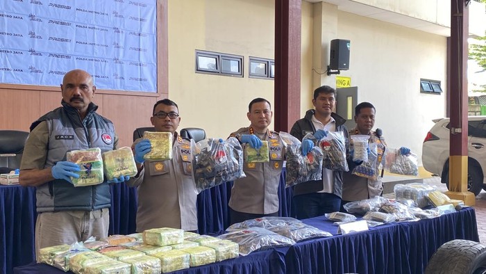 polisi-tangkap-pengedar-narkoba-medan-jakarta-267-kg-ganja