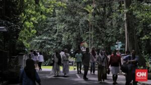 wisata Bogor, tempat wisata Bogor, liburan Lebaran Bogor, destinasi Bogor, wisata Puncak, Kebun Raya Bogor, Taman Safari Indonesia, curug di Bogor, wisata keluarga Bogor, agrowisata Gunung Mas