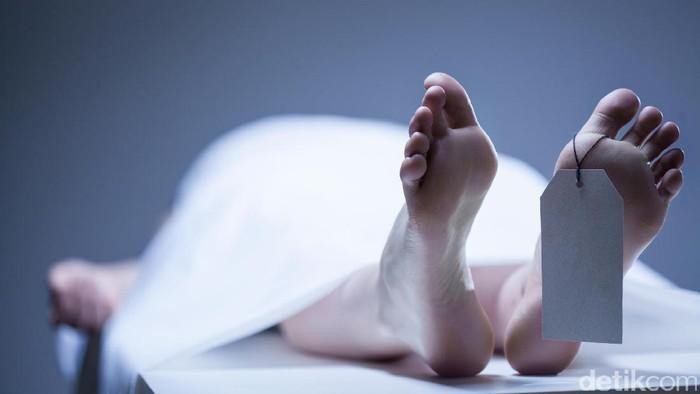 warga sulut, keracunan kepiting, keracunan makanan, sulawesi utara, berita sulut, kesehatan, makanan laut, kepiting beracun, kasus keracunan, berita terkini